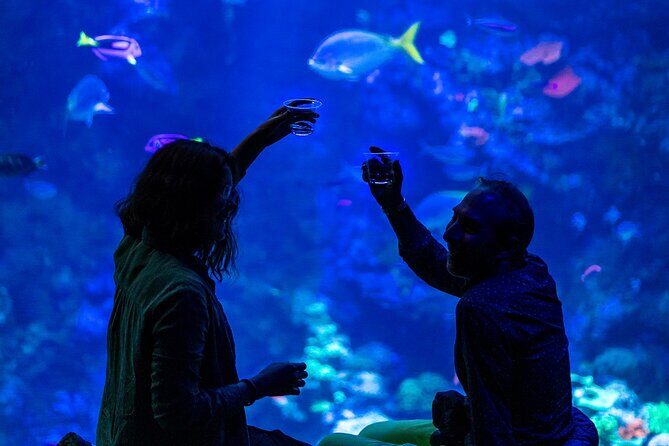 California Academy of Sciences NightLife Plus Admission Ticket - Final Thoughts