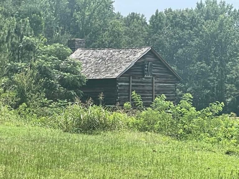 Camden: Revolutionary War Park Guided Tour - Exploring the Grounds: What to Expect and Why It Matters