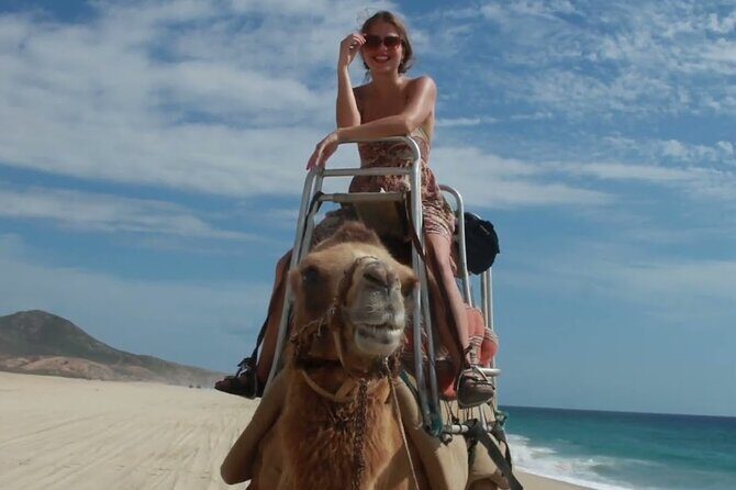 Camel Adventure on the Beach - The Experience from a Traveler’s Perspective