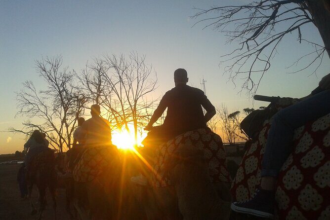 Camel Barbecue Sunset Agadir city - Who Will Love This Tour?