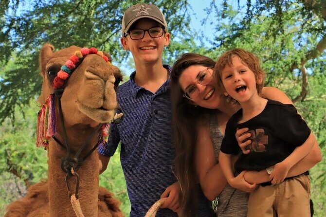 Camel Desert Ride Experience in Cabo - What the Tour Includes and What to Consider