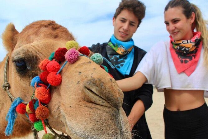 Camel Encounter and Safari Ride. Includes lunch & alcohol tasting - Who Is This Tour Perfect For?