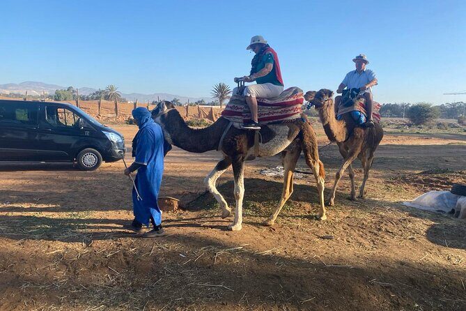 Camel Ride and Barbecue Tour in Agadir - The Practicalities and What You’ll Love