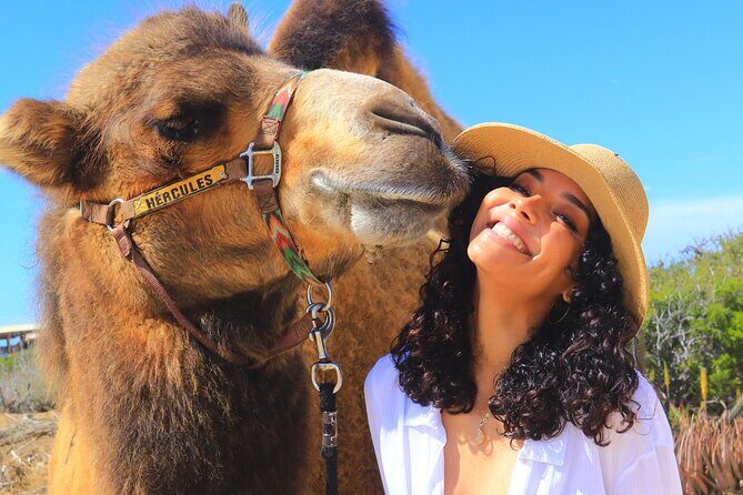 Camel Ride and UTV Combo Adventure, with Tequila Tasting - The Experience: What to Expect on Each Stop