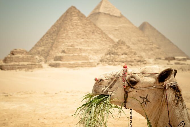 Camel Ride around the Pyramids During Sunrise Or Sunset - Who is This Tour Best For?