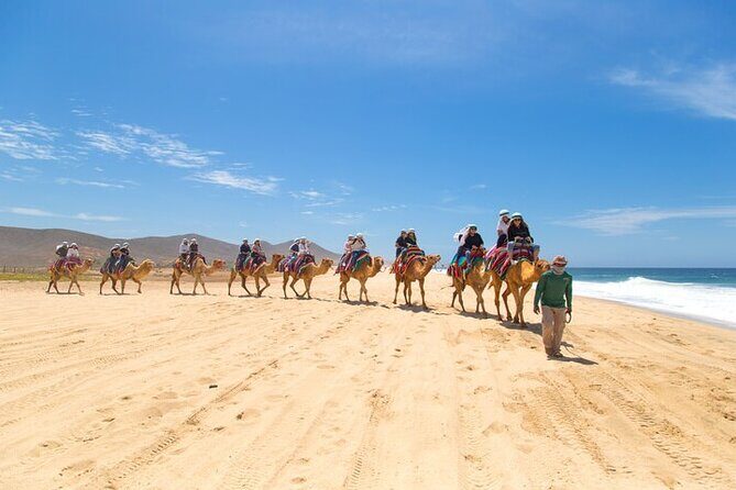 Camel Ride & ATV Combo in Migriño, Mexico - Value and Price Analysis