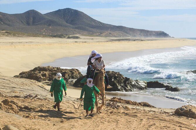 Camel Ride & Encounter at Los Cabos - Logistics & Practical Details