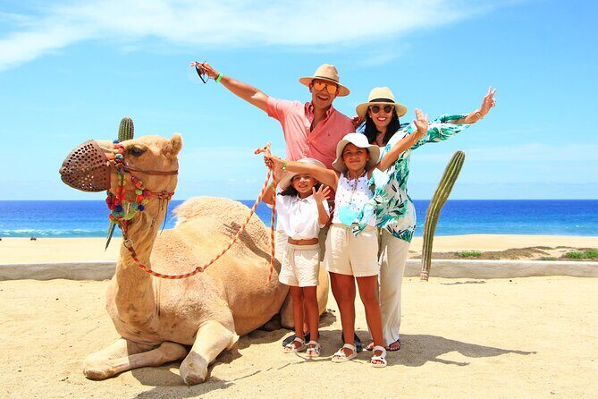 Camel Ride Experience in Los Cabos with Pick up and Lunch - Is This Tour Worth It?
