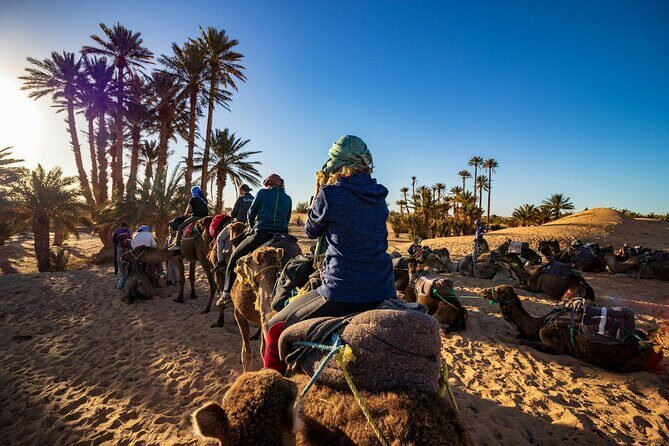 Camel Ride in Agadir with Dinner BBQ - The Value: Is It Worth It?