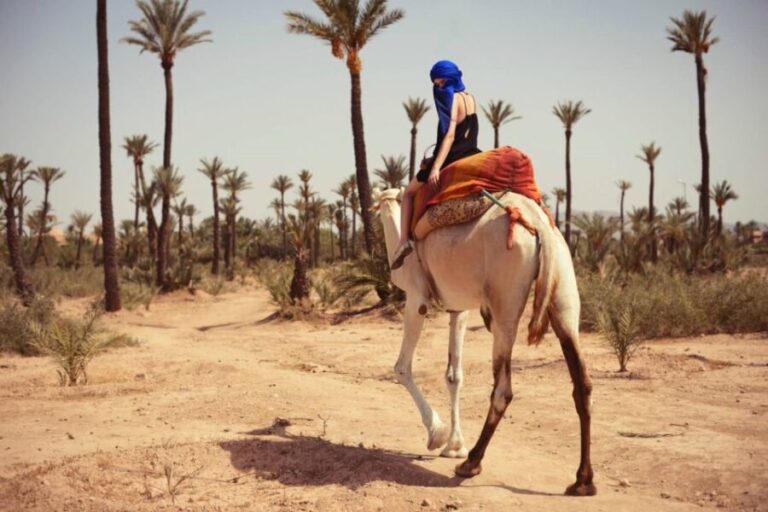 Camel Ride In Palmeraie 1 Hour, With Tea - What to Expect During the Camel Ride