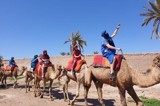 Camel ride Marrakech - Who Should Book This Tour?