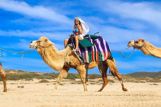 Camel Ride On The Beach at Los Cabos - Who Will Appreciate This Tour?