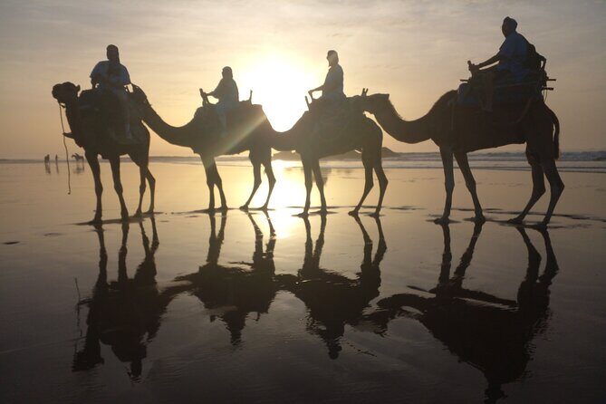Camel ride or quad bike ride.. pick up, drop off. including - Who Should Consider This Experience?