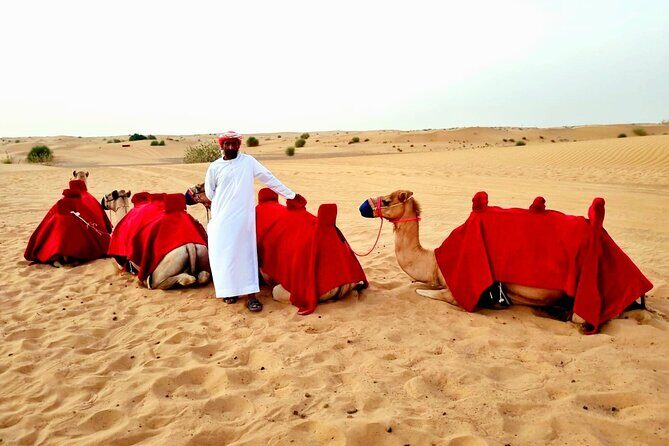 Camel Ride Safari in Red Dunes - Who Would Love This Tour?