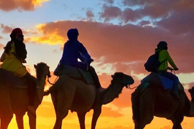 Camel ride + sunset + BBQ dinner in Agadir - The Itinerary in Detail
