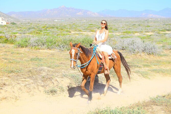 Camel Ride Tour in Los Cabos - Practical Details: What You Need to Know