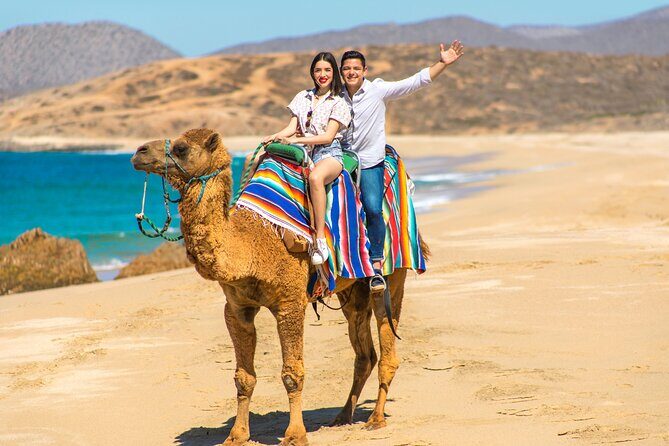 Camel riding experience on the shores of the Pacific Ocean - Food, Rest, and Reflection