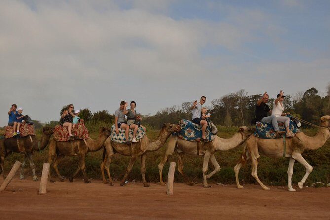 Camel riding in Agadir for Cruise ship Passengers - Dressing in Traditional Costumes