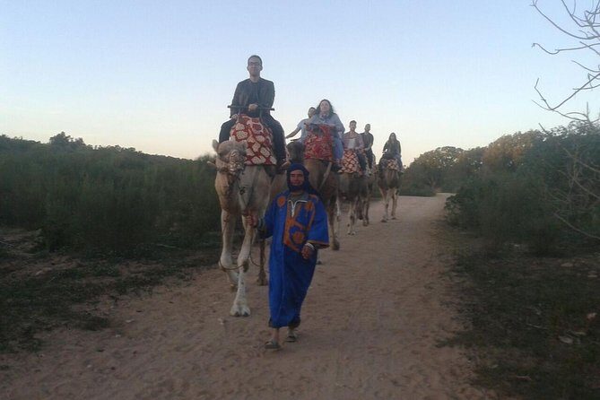 Camel Riding - Comparing Similar Experiences