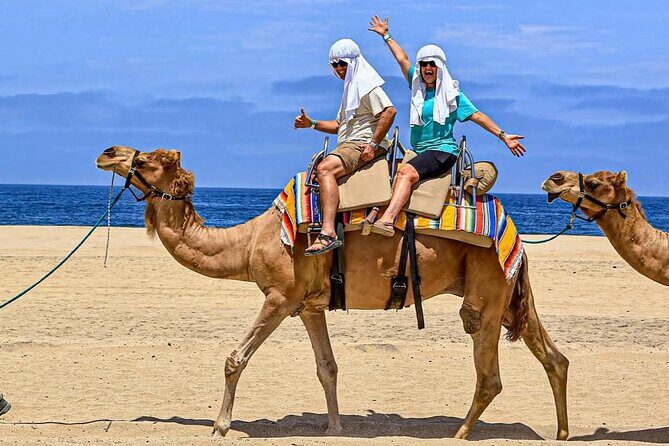 Camel Safari and Gastronomic Experience in Los Cabos