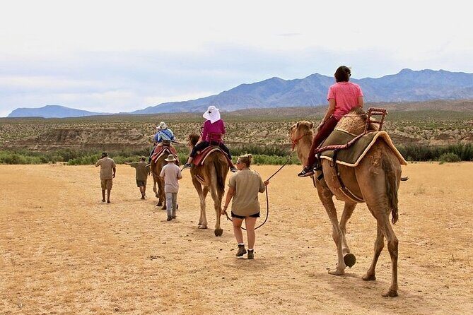 Camel Safari - Camel Ride and Zoo Tour - The Itinerary: What to Expect