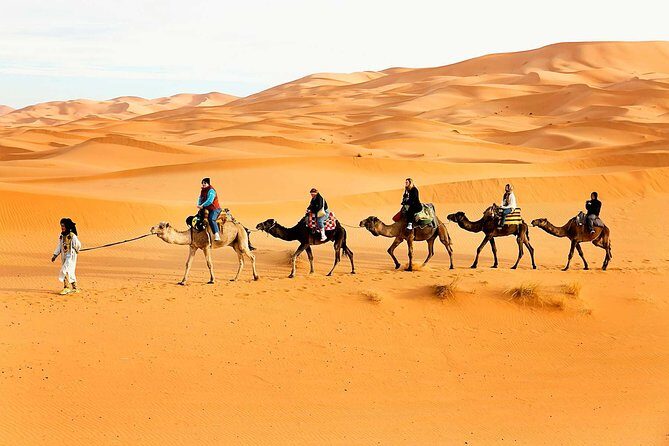 Camel Trekking Dubai with Dune Bashing and Sand Boarding - Authentic Traveler Perspectives