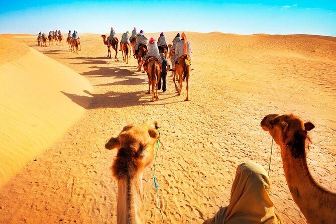 Camel Trekking Dubai with Morning Dune Bashing and Sand Boarding - What Makes This Tour Standout?