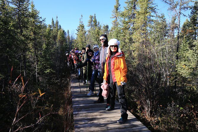 Cameron Falls Hiking Tour - The Sum Up