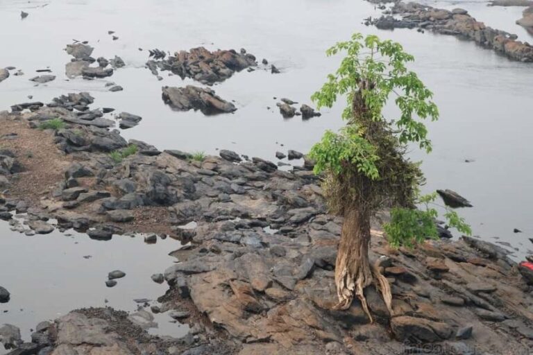 Cameroon: Ebogo Eco-touristic Site - FAQ