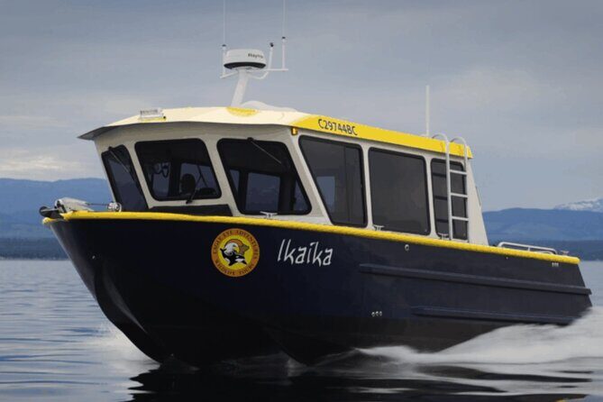 Campbell River, BC: 4 Hour Wildlife Tour Featuring Whale Watching - Detailed Breakdown of the Itinerary