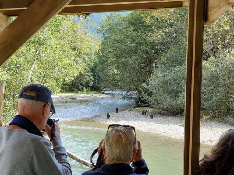 Campbell River: Grizzly Bear-Watching Tour with Lunch - The Itinerary: What to Expect on Your Day of Adventure