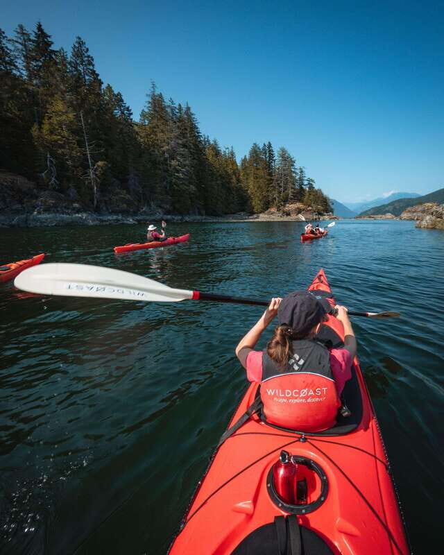 Campbell River: Kayaking and Whale Watching Tour - The Itinerary in Detail