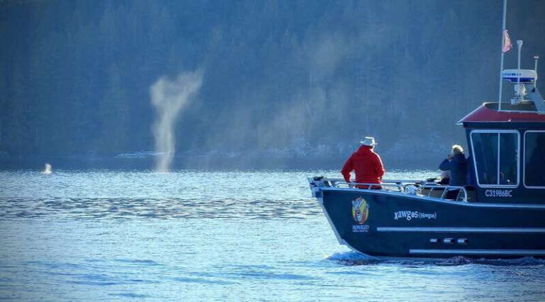 Campbell River: Salish Sea Whale Watching Adventure - The Voyage Through the Discovery Islands