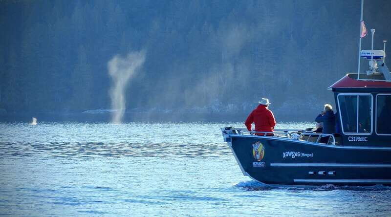 Campbell River: Salish Sea Whale Watching Adventure - The Voyage Through the Discovery Islands