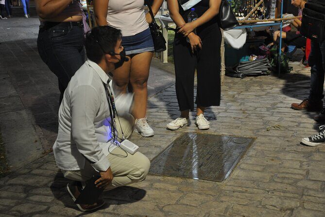 Campeche: Highlights, Museums and Downtown Tour - Who Will Love This Tour?