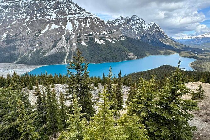 Can/Banff :Columbia Icefield, Crowfoot Glacier and Bow Lake, Tour - Who Will Enjoy This Tour?