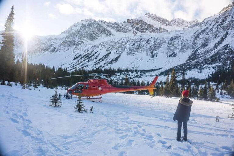 Canadian Rockies: Abraham Lake Ice Bubbles Helicopter Tour - The Value of the Experience