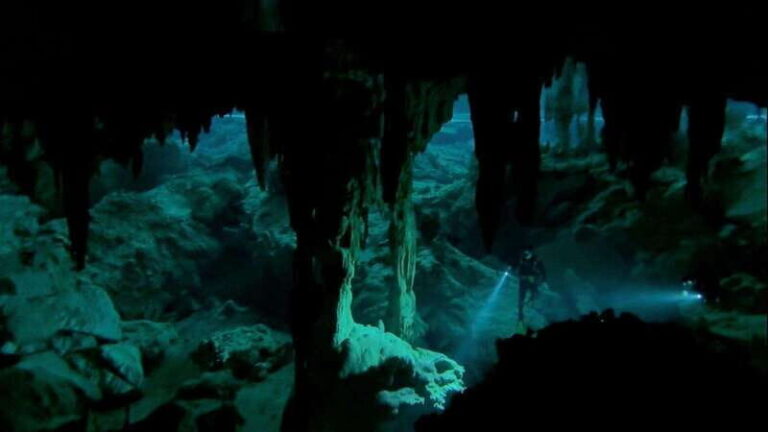 Cancun 2 Cenote Dives: The Pit & Dos Ojos - Certified Divers - The Cenote The Pit: Why It’s Special