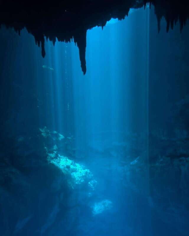 Cancun 2 Cenote Dives: The Pit + Nicte Ha - Certified Divers - Is This Tour Worth the Price?