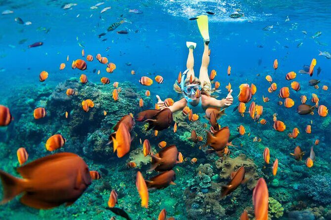 Cancun 6 in 1 Snorkeling Tour: MUSA, Shipwreck, Reefs & Cenotes - How This Tour Wraps Up
