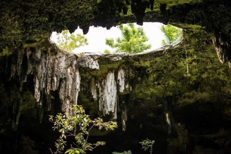 Cancun: access to Chichen Itza, Ek Balam, a cenote, and lunch - Who Should Consider This Tour?