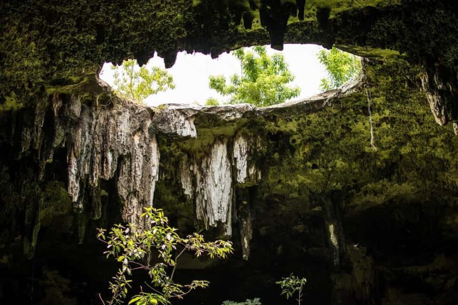Cancun: access to Chichen Itza, Ek Balam, a cenote, and lunch - Who Should Consider This Tour?