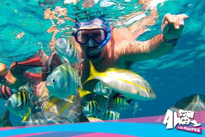 Cancun Adults Only Party Cruise to Isla Mujeres with Open Bar - The Realities You Should Know