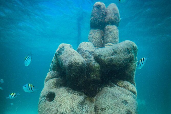 Cancun Adventure: Reef Snorkeling & Parasailing Experience - Real Traveler Experiences