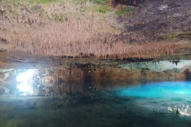 Cancun Adventure Tour with Ziplines, ATVs and Cenote Swim - What Travelers Are Saying