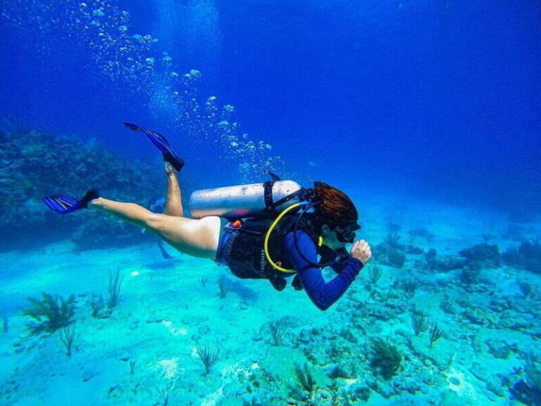 Cancun: All included Diving Lesson (2 Tanks) - What You Can Expect from This Cancun Diving Experience