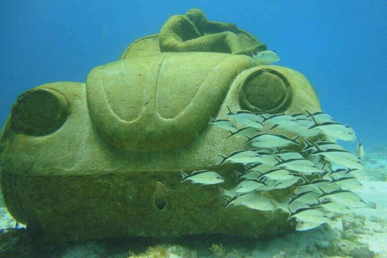 Cancun: Beginner Scuba Diving at Underwater Museum - What to Expect Each Step