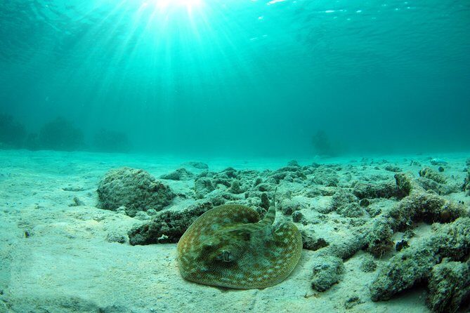 Cancun Best Deal 3x1: Snorkeling, Zip Lines & Rappel - Practical Considerations