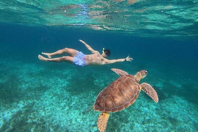 Cancun Catamaran: Sail to Isla Mujeres + Buffet & Drinks - Setting Sail from Cancun: What to Expect