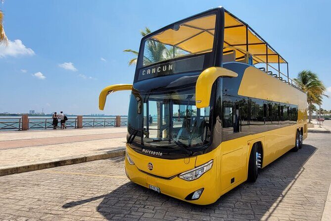 Cancun City Sightseeing and Shopping Tour on a Double Decker bus - The Value and Practicalities
